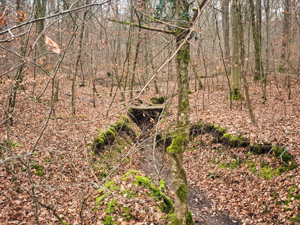 20220123160548-94d9d9c1